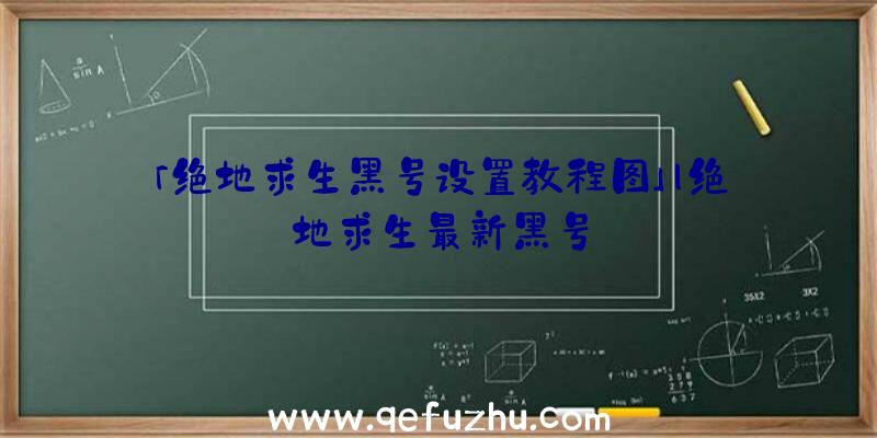 「绝地求生黑号设置教程图」|绝地求生最新黑号